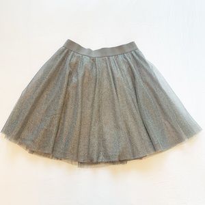Silver Tulle Flared Skirt